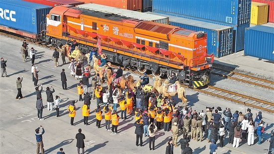 1月13日，在郑州中欧班列的发车仪式上，新疆“东天山来的骆驼队”惊喜亮相。本报记者 聂冬晗 摄