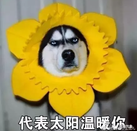 43472d9e-6e20-44ad-b185-962bd5a9ff28.png
