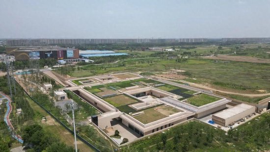 因挖红薯窖被意外发现的史前大遗址
