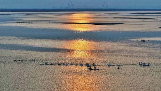 无人机航拍镜头下的兰考县黄河滩涂湿地