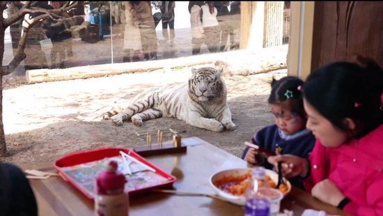 游客在动物王国泰哥餐厅用餐