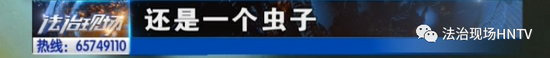 海底捞就餐 捞出俩虫子？