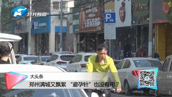 这些漫天飞舞的柳树“絮絮”