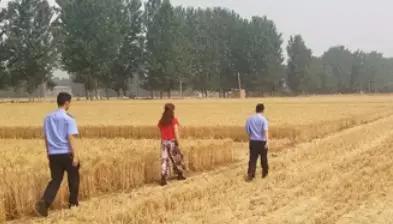韩城派出所接到张先生的报警后