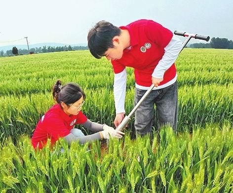 科技小院的学生们在进行土壤肥力、含水量取样。