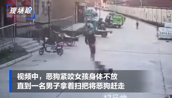 安阳女童遭恶犬扑倒撕咬？社区回应：辖区内未发生此事