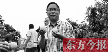 王洪濤在桃園里拿著剛采摘下來的黃桃向全國觀眾直播