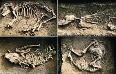 姓戎的人口_姓氏头像带字图片戎姓