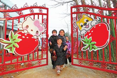 1月3日,许昌市建安区五女店镇勤劳农夫草莓园,小朋友们采摘游玩后,满载而归。 牛书培 摄