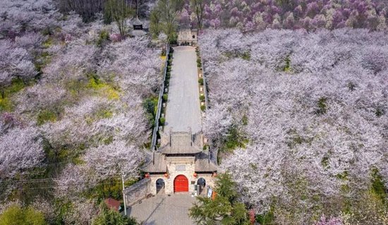 清明假期去哪玩？河南多景区有优惠→