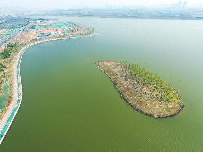 ˰ٶĶ֣ݶ廷 ǻ̬ˮϵ