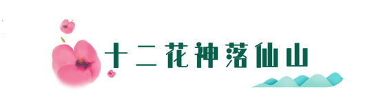 4月1日，2023老君山仙山花海节即将盛大启幕！