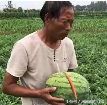一案未平，一案又起