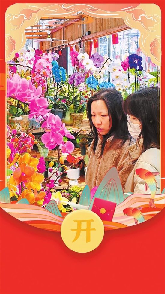 2月11日，洛阳市涧西区的洛阳景然花卉中心，人们挑选着心仪的鲜花。王宏欣 摄