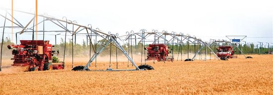 机械化、智能化赋能淮阳区高标准农田丰收。刘坤 摄