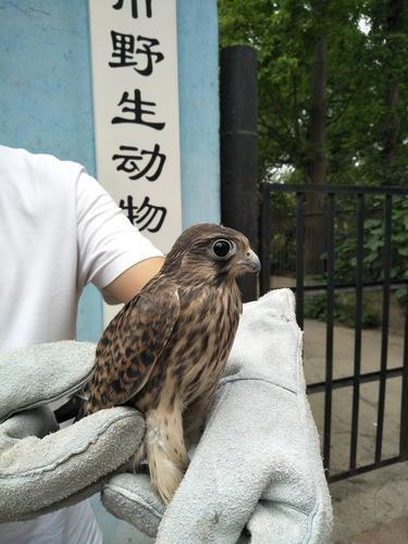 ֣�ݣ����������Է�ʱ������֧�����Ժ�������˾���