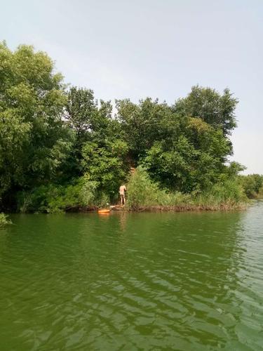 ֣һˮΣˮѧӰ ñʱȰ