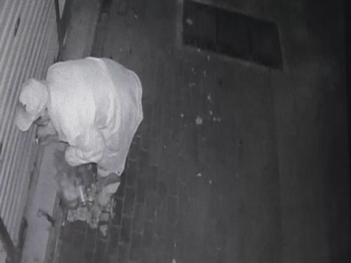 ֣һСŶͯӼ ͵͵Ʋ͵Ǯ