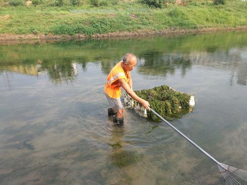 河道水草清理费时费力 郑州六旬管理员自制神