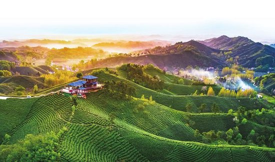 浉河区文新茶村