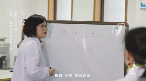 全國人大代表 航空工業光電所型號副總師 羊毅