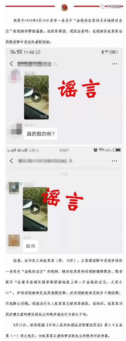 男子发视频谎称“金钱豹在河南南乐县出没”  引起群众恐慌被刑拘