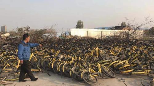 心疼人!郑州一待建工地变成共享单车坟墓