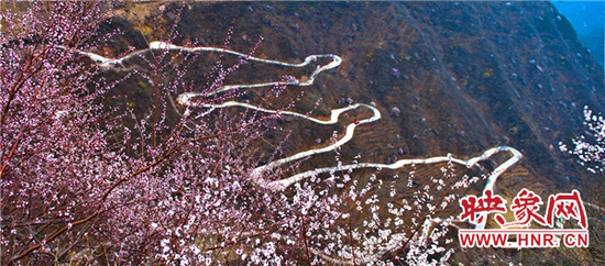 通過驗收每個示范縣最高將得500萬元補助