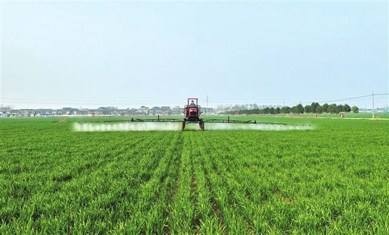 现代化机械设备为返青麦苗做“药浴”。刘俊涛 摄