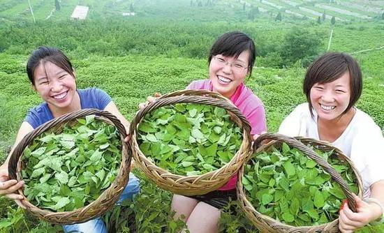 鸡蛋不翻