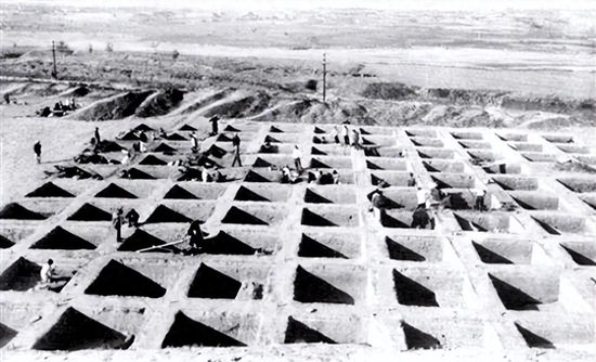 △庙底沟遗址第一次发掘
