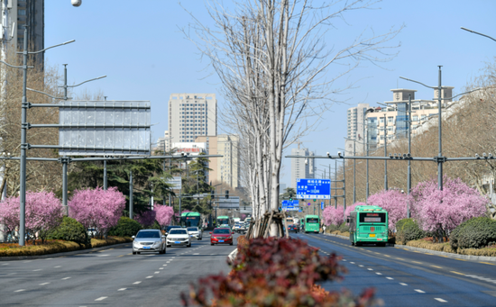 清明假期省内游，这些易堵和施工路段要注意