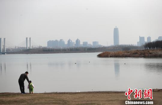 郑州市北龙湖良好的生态环境引来大量水禽栖息。(资料图) 韩章云 摄