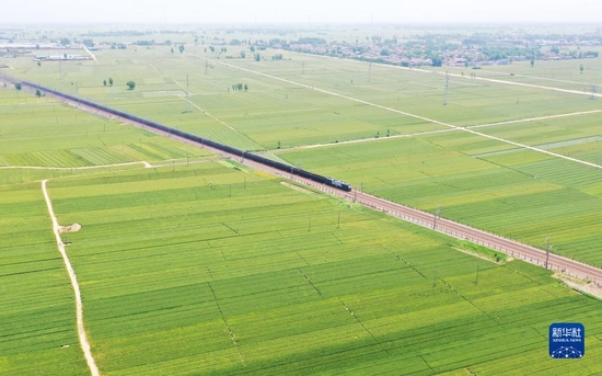 河南延津：麦田管护保丰收（图）