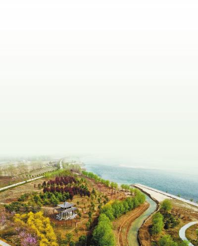 3月29日,洛阳吉利黄河湿地鹤鸣湖景观。本报记者王铮摄