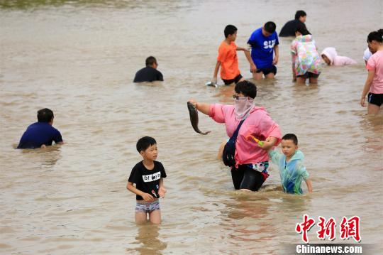 暑期郑州家长带娃“浑水摸鱼”撒欢寻童趣 徐志清 摄