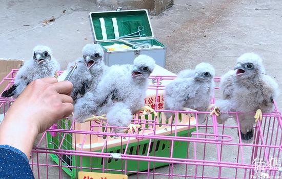 猛犸新聞·東方今報(bào)記者 張曉冬 萌友 李先生