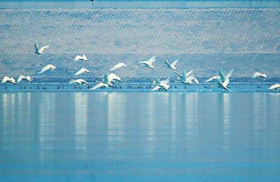 □記者谷武民通訊員高飛王歡文圖
