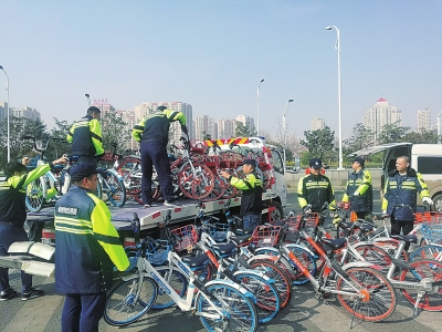 大河報·大河客戶端記者 王新昌 文圖