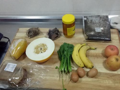 ▲因为人工饲养,不能提供那么多蚂蚁,所以动物园为其准备了特殊的替代实物
