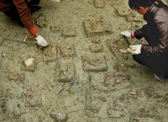 發(fā)掘現(xiàn)場