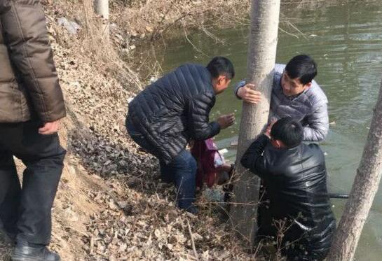 大河报·大河客户端 记者 杜文育 实习生 张艺潇 文图
