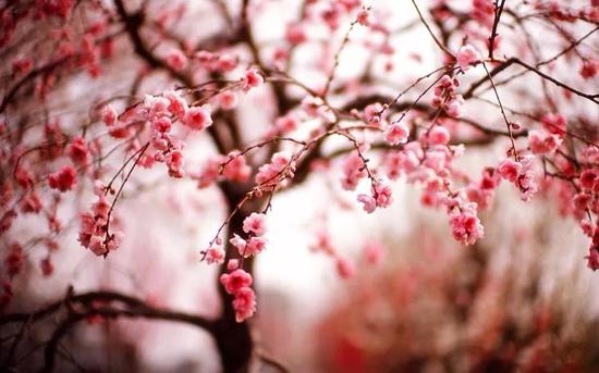 對于城市里生活的人而言