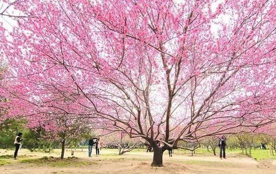 地址:郑州大学新校区,地铁1号线直达“郑州大学”站。