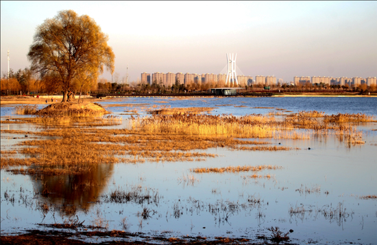 今年绿城将更绿 郑州启动国家生态园林城市建设