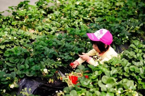 地址:郑州市惠济区天河路北四环交叉口向北3公里