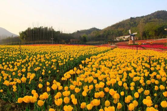 花之谷游玩攻略,花之谷游玩攻略大全