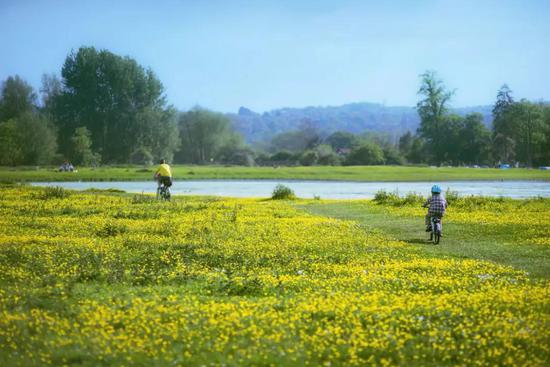 看完這份賞花時間表