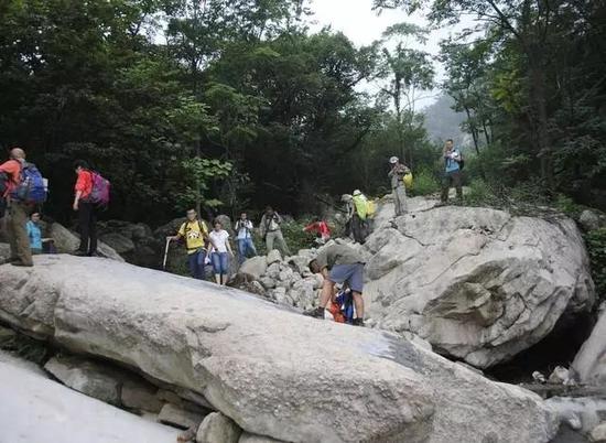 地址:平顶山市鲁山县四棵树乡与南召县比邻处。