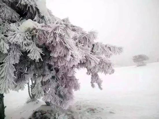 优点：场地大，雪道多，1月7日冰雪节开幕将会有一系列滑雪赛事上演